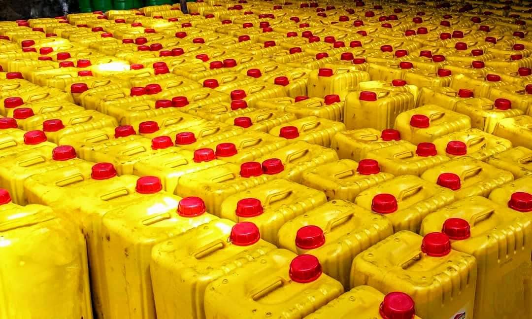 FB_IMG_1719918683910