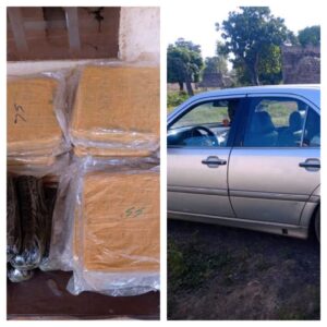 Deuxième Légion : Saisine d'une importante quantité de chanvre indien par la BT Faramana