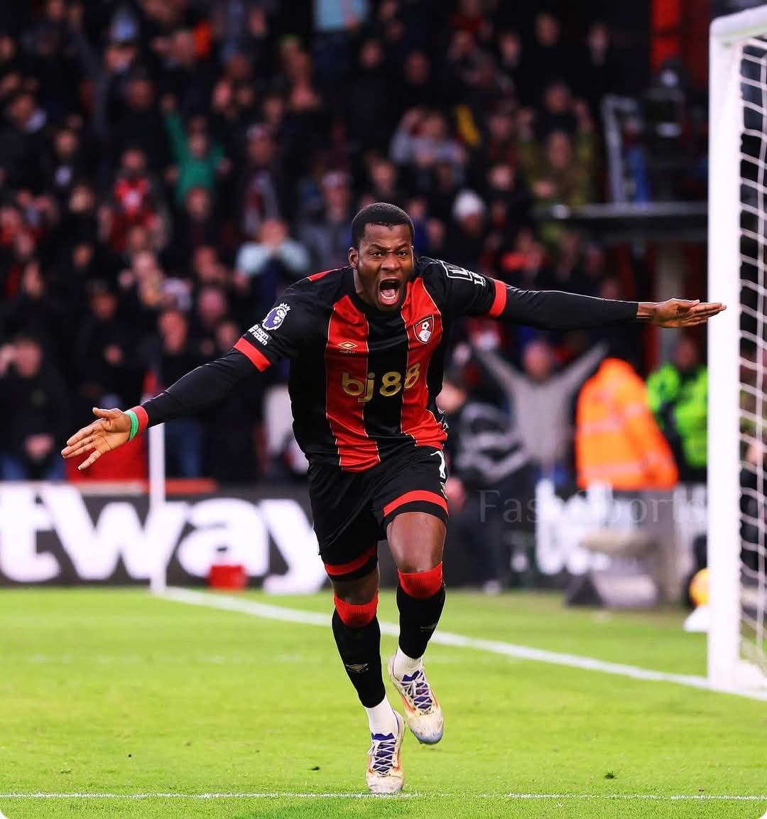 FB_IMG_1737826701061