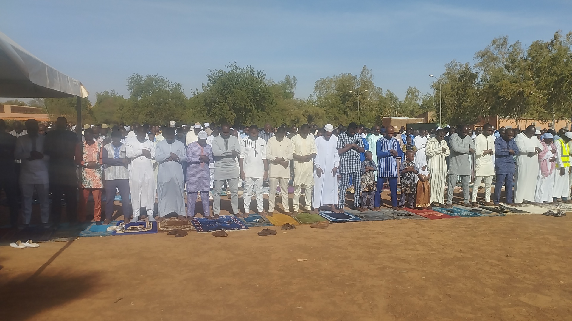 IMG_20250331_083337_1