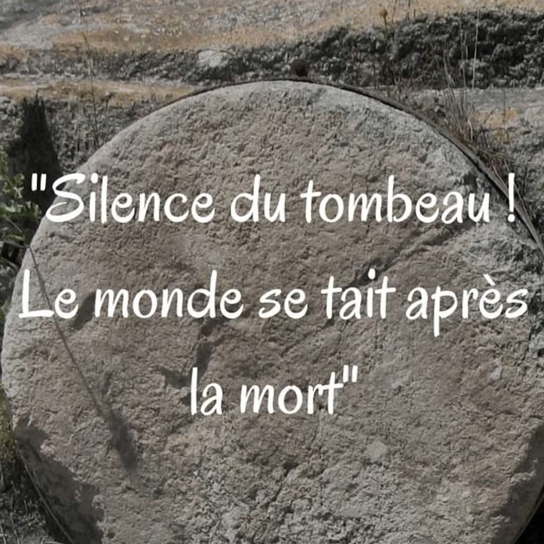 FB_IMG_1745079959762