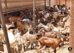 FB_IMG_1755609188094