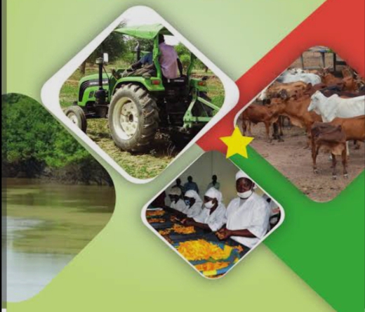 la richesse du Burkina