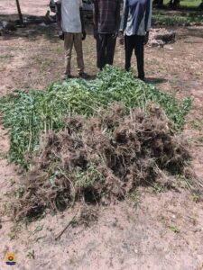 FB_IMG_1761637779703