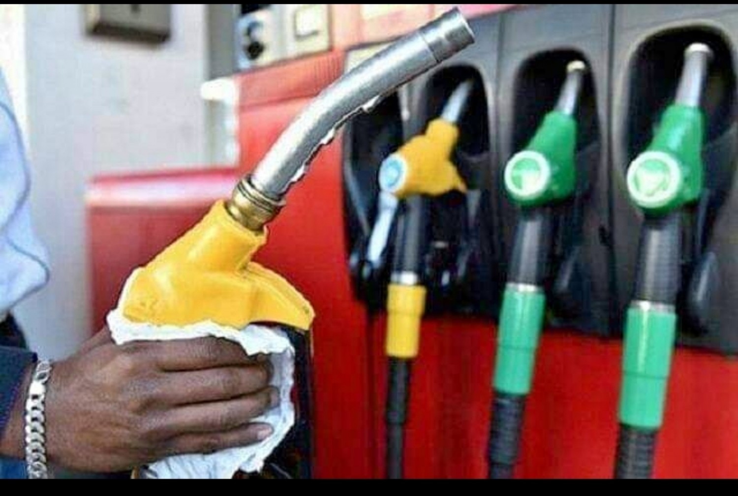 photo_1691144304 (1)