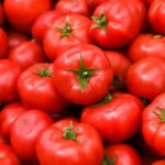 FB_IMG_1773743243059