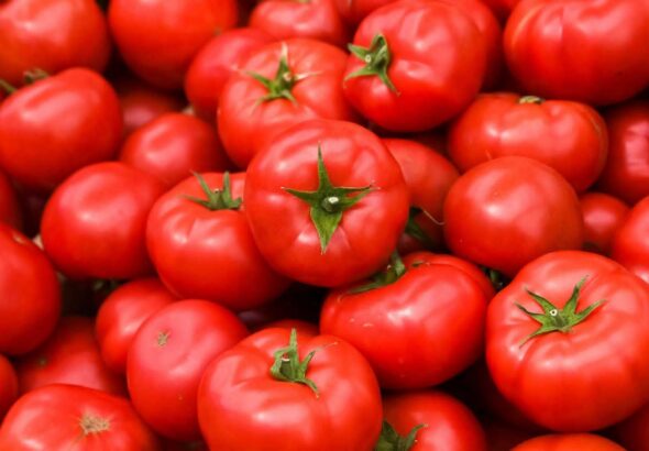 FB_IMG_1773743243059