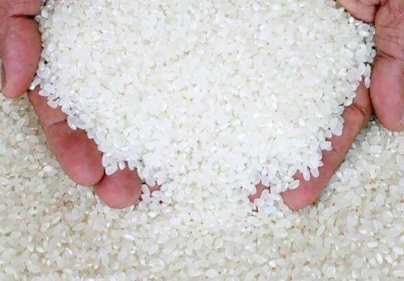 FB_IMG_1777473979840