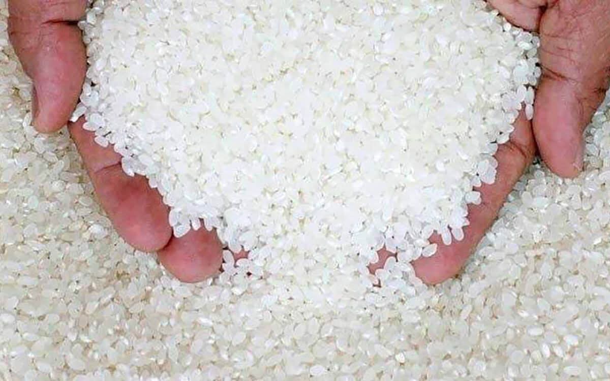 FB_IMG_1777473979840